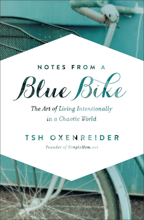 Notes From a Blue Bike cover